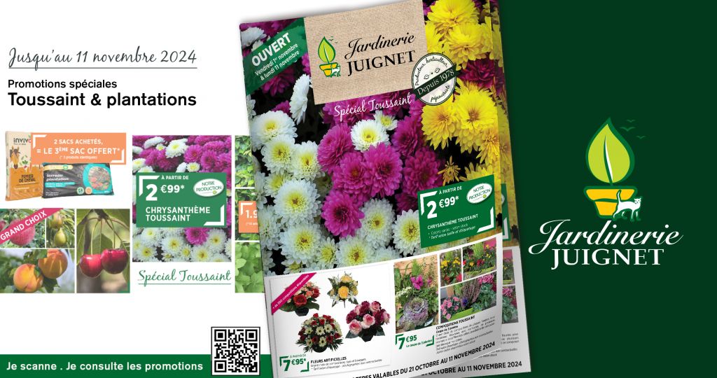 Promotions toussaint & plantations